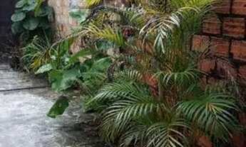 Imagem 5: URGENTE VENDO EXC CASA 2/4, EM PLENA MARQUÊS SÓ 280.000