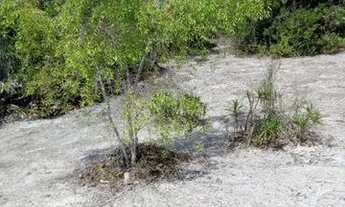 Imagem 6: TERRENO NO CONDOMÍNIO BUSCA VIDA PARA VENDA, 900M2 DE ÁREA, DENTRO DO SUB-CONDOMÍNIO DUNAS
