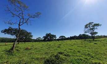 Imagem 2: Terrenos Perto do Rio a 20min de Divinópolis 24.915 + Parcelas
