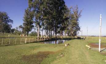 Imagem 7: Sítio.!!! st506