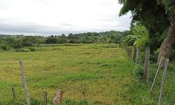 Imagem 4: Fazenda em Guaraita 50 alqueires