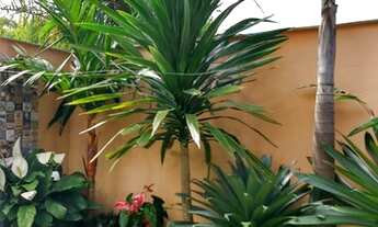 Imagem 5: Oportunidade! Linda casa térrea