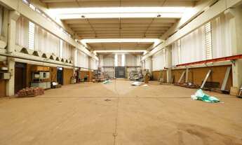 Imagem 11: Galpão - Betel - Paulínia