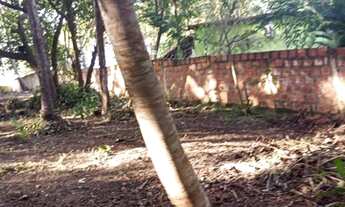 Imagem 5: Terreno à venda em Imbassaí, Dimensões=25m*25m/Frente e Fundo por 40m*40m*/Laterais