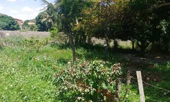 Imagem 2: Vendo terreno no peçem 34 por 44 de fundos