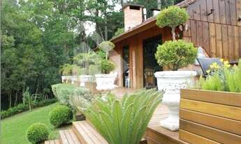 Imagem: FLORES DA CUNHA - Chácara - Sete de Setembro