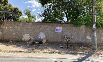 Imagem: Lote possui 475 metros quadrados em Jardim