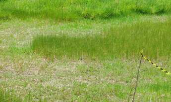 Imagem 7: Terreno para Venda em Camaçari, jauá