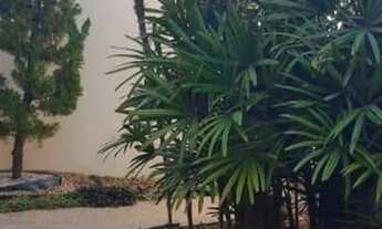 Imagem 2: Alugo 2 ótimas casas no mesmo terreno