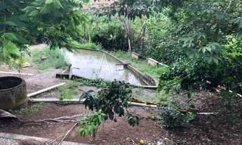 Imagem 4: Vargem - Chácara - CENTRO