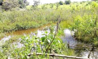 Imagem 6: Sitio com 3 Hectares . Em Alberto Isaacson