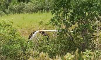 Imagem 6: Fazenda em Guaraita 50 alqueires