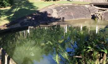 Imagem: Lindo Sítio na Vila Itoupava