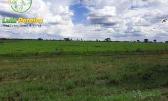 Imagem 5: FAZENDA À VENDA EM APARECIDA DO RIO NEGRO - TO - 1.335 HEC (DUPLA APTIDÃO