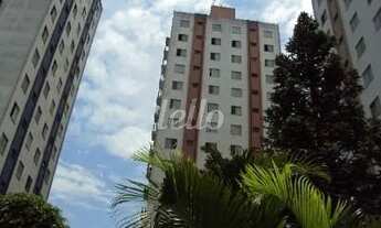 Imagem: São Paulo - Apartamento Padrão - Cangaíba