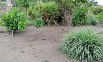 Imagem: CASA COMUNIDADE CRISTO REI CURUÁ UNA