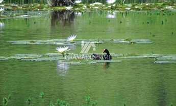 Imagem 6: LANÇAMENTO EM GRAMADO! APARTAMENTO DE ALTO PADRÃO!