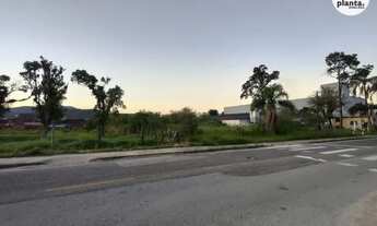 Imagem 2: Terreno à venda no Bairro Ipiranga, São José,com