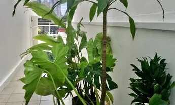 Imagem 3: Aluguel anual. Apto maravilhoso!!!