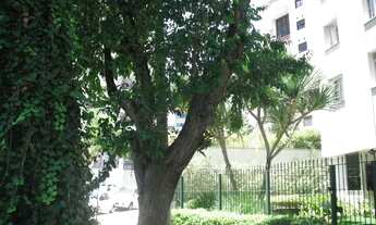 Imagem: No melhor do Itaim Bibi, amplo e confortável