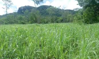Imagem 5: Terra Rural com cachoeira e igarapé, otima para balneário e plantação