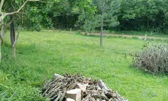 Imagem 3: TERRENAO COM LUZ INSTALADA!!!AC. TROCA!