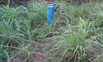 Imagem 2: Terrena para sitio