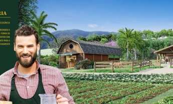 Imagem 7: Lote Barao do Imperio Santa Leopoldina