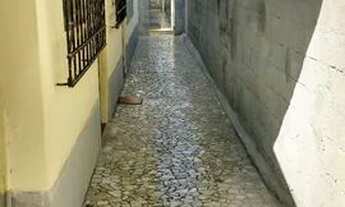 Imagem 3: Casa de fundos Casa com 1 dormitório