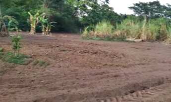 Imagem 3: Fazenda Dupla Aptidão Município de Montes Claros Goiás ! 30 alqueires !
