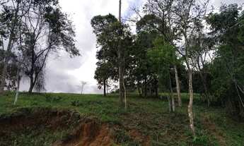 Imagem 2: Vende se sítio Chácara com venda por R$180.000