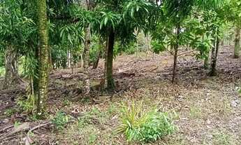 Imagem 2: Sítio, vendo e troco