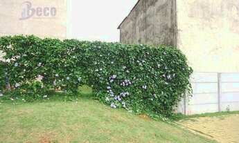 Imagem 4: Apartamento Térreo para Venda em Vila Curuçá São Paulo-SP