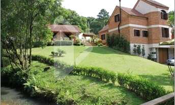 Imagem 4: FLORES DA CUNHA - Chácara - Sete de Setembro