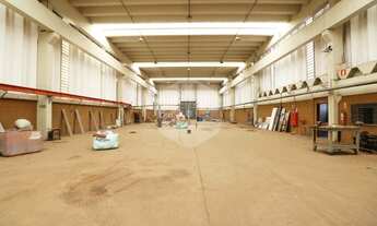 Imagem 12: Galpão - Betel - Paulínia