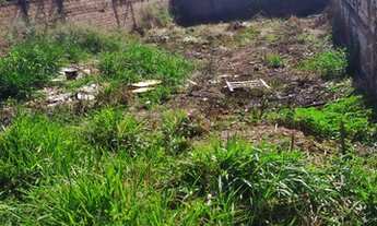 Imagem 3: Lote 12 x 30 metros - Vila Oliveira - Aparecida de Goiânia - GO