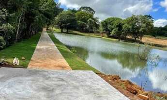 Imagem 2: Rosas de Leiria- Ágio de Lote