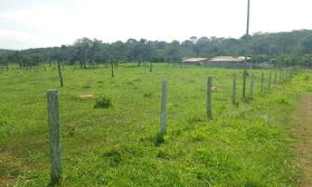 Imagem 6: Oportunidade! Vendo excelente fazenda com 78 hectares a 10 km Planaltina DF