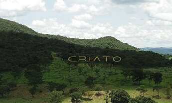 Imagem: Fazenda à venda, 45 Alqueires por R$ 7.000.000