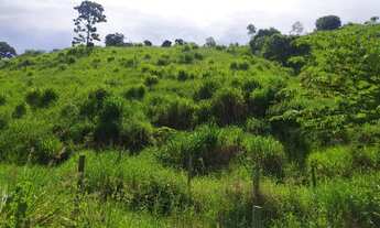 Imagem 7: Alqueire Fazenda / sítio com venda por R$50.000