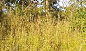 Imagem 6: Oportunidade em Planaltina DF!Vendo excelente chácara com muita água!