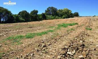 Imagem 2: CAXIAS DO SUL - Terreno Padrão - São Luiz