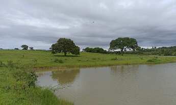 Imagem: Fazenda em Guaraita 50 alqueires