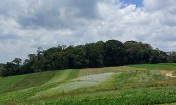 Imagem 4: Vendas de lotes Terreno / lote com venda por R$35.000