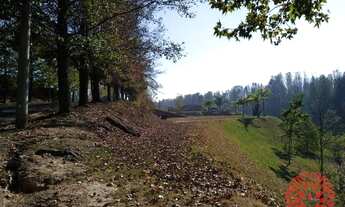 Imagem 4: Terreno à venda, 6000 m² por R$ 380.000,00 - Ivoturucaia - Jundiaí/SP