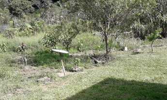 Imagem 7: Fazendinha em Crucilândia 70 mil metros 7 hectares com lagoa e água corrente ótimo cantinh