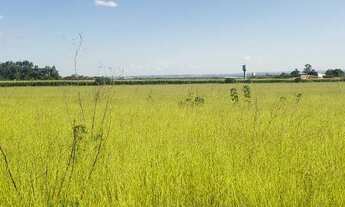 Imagem 5: Oportunidade vendo excelentes chacara no lago oeste 3.5 hectares