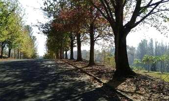 Imagem 5: Terreno à venda, 6000 m² por R$ 380.000,00 - Ivoturucaia - Jundiaí/SP