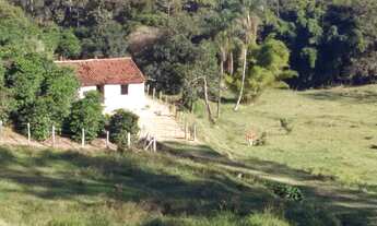 Imagem 3: Sítio de 9 alqueires - produzindo Café - Serra Negra/ Barrocão