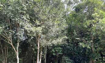 Imagem 7: More no Recife com o clima de Aldeia, casa com 2 suítes em condomínio, R$ 320 mil